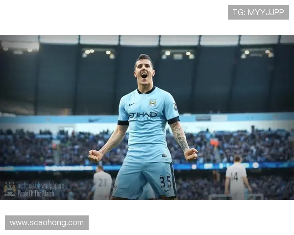 斯旺西俱乐部百年征程与城市足球文化传承发展的深度探秘 斯旺西俱乐部百年征程与城市足球文化传承发展的深度探秘