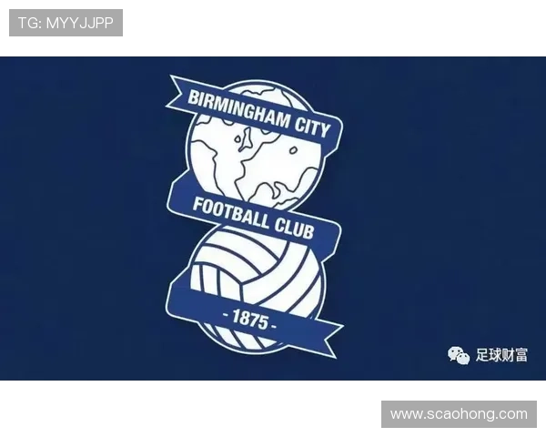 伯明翰俱乐部发展历程与未来展望:从英格兰足球传统到国际化道路的探索 伯明翰俱乐部发展历程与未来展望:从英格兰足球传统到国际化道路的探索