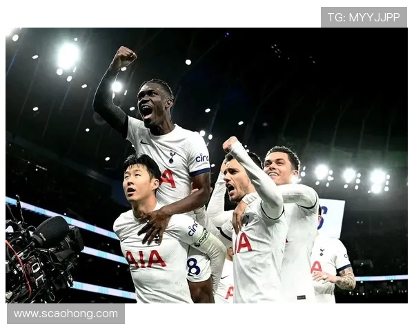 围绕托特纳姆热刺俱乐部的发展历程与未来战略全面解析深入探讨之路 围绕托特纳姆热刺俱乐部的发展历程与未来战略全面解析深入探讨之路