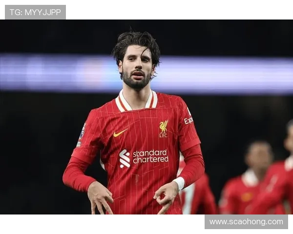 利物浦足球俱乐部百年荣耀与红军精神的传奇征程在英伦与欧洲赛场的辉煌史诗