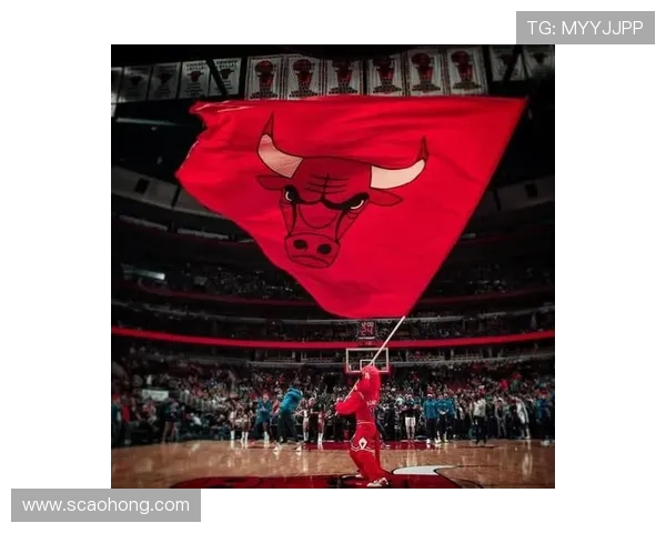 重建与荣耀交织的NBA芝加哥公牛新赛季复兴之路探索与球迷期待